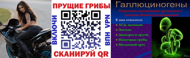 дарк нет формула  наркошоп  Барыш  Псилоцибиновые грибы ЛСД 